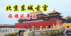 美女被吊秒拍日本福利av中国北京-东城古宫旅游风景区